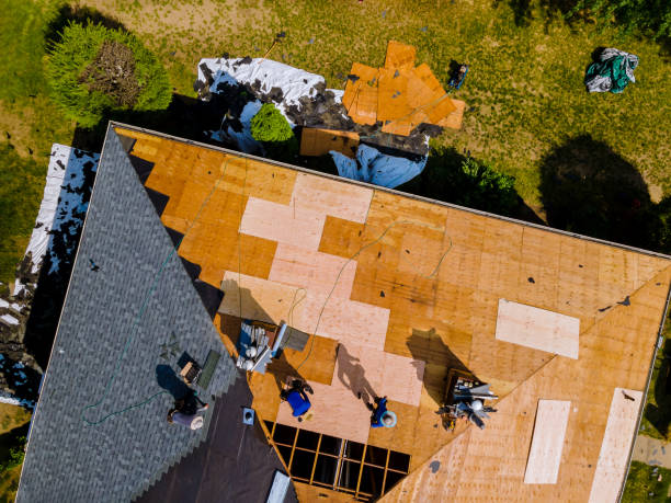 Best Metal Roofing Contractor  in Reading, MI