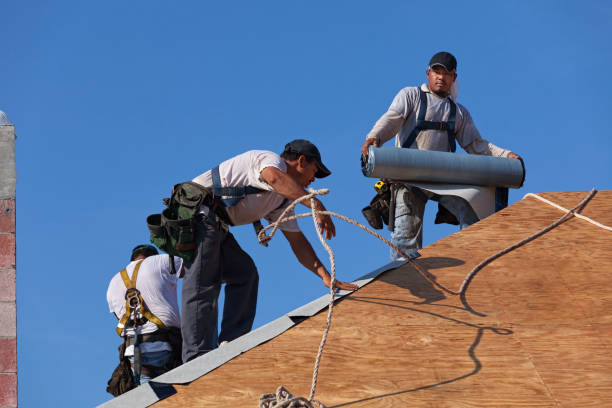 Best Roofing Contractor Near Me  in Reading, MI