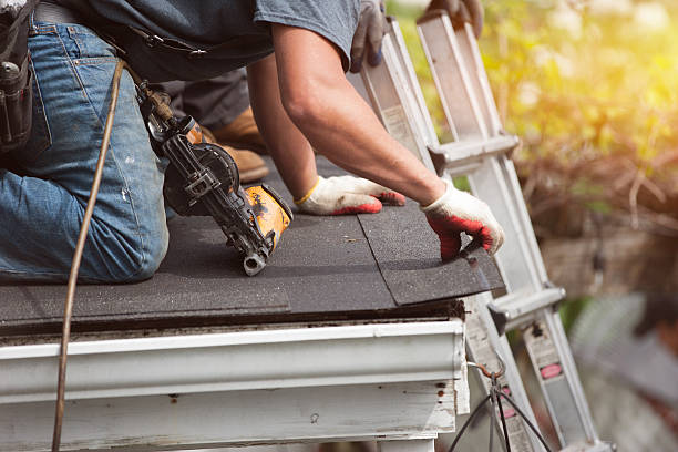 Best Roof Repair Services  in Reading, MI