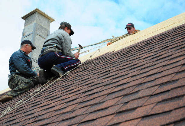 Best Shingle Roofing Installation  in Reading, MI
